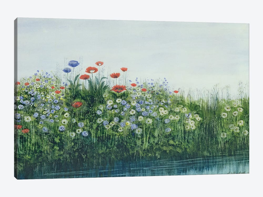 Poppies by a Stream  by Andrew Nicholl 1-piece Canvas Art Print