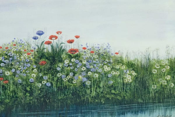 Poppies: Poppies by a Stream  by Andrew Nicholl