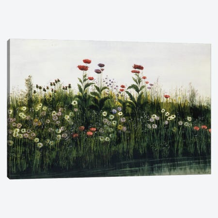 Poppies, Daisies and Thistles on a River Bank   Canvas Print #BMN8809} by Andrew Nicholl Canvas Artwork