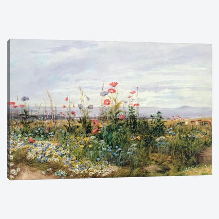 Wildflowers with a View of Dublin Dunleary  Canvas Print #BMN8810} by Andrew Nicholl Canvas Art Print