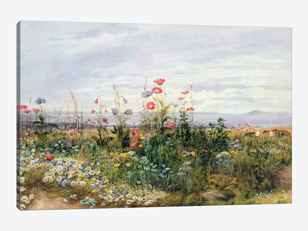 Wildflowers with a View of Dublin Dunleary  by Andrew Nicholl 1-piece Canvas Art