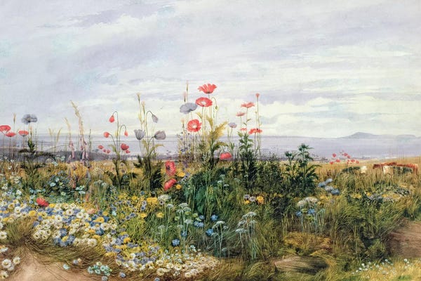 Gardens & Floral Landscapes: Wildflowers with a View of Dublin Dunleary  by Andrew Nicholl