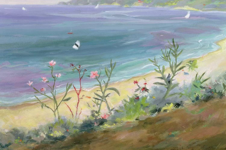 Agios Gordios, Corfu, Greece  by Anne Durham wall art