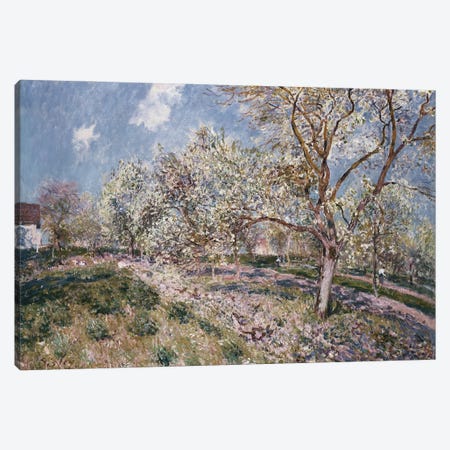 Spring at Veneux, 1880  Canvas Print #BMN8849} by Alfred Sisley Canvas Wall Art