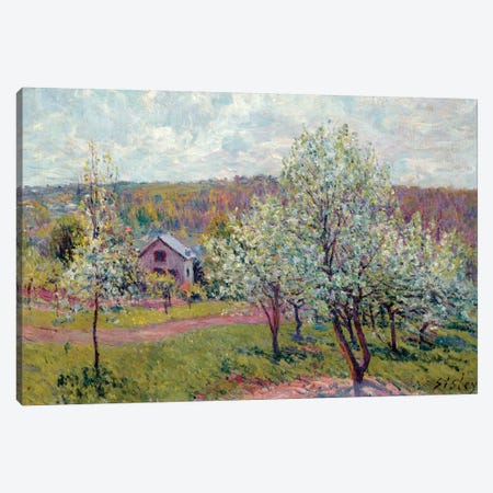 Spring in the Environs of Paris, Apple Blossom, 1879  Canvas Print #BMN8850} by Alfred Sisley Art Print