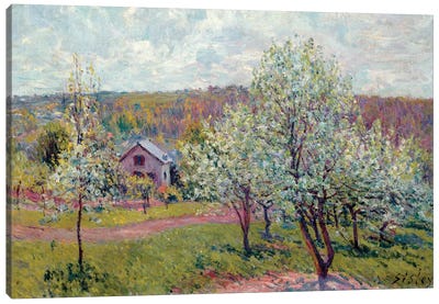 Spring in the Environs of Paris, Apple Blossom, 1879  Canvas Art Print - Apple Trees