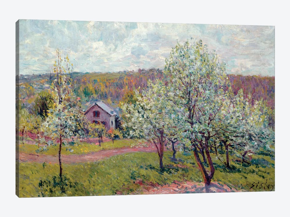 Spring in the Environs of Paris, Apple Blossom, 1879  by Alfred Sisley 1-piece Canvas Art