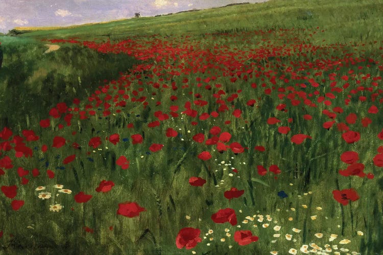 The Poppy Field, 1896 