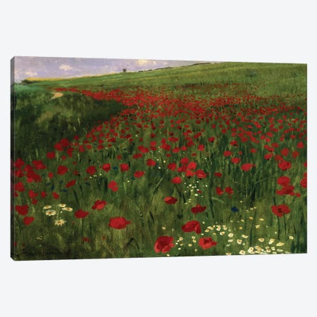The Poppy Field, 1896  Canvas Print #BMN885} by Pal Szinyei Merse Canvas Print