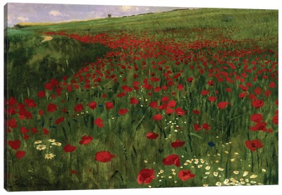 The Poppy Field, 1896  Canvas Art Print