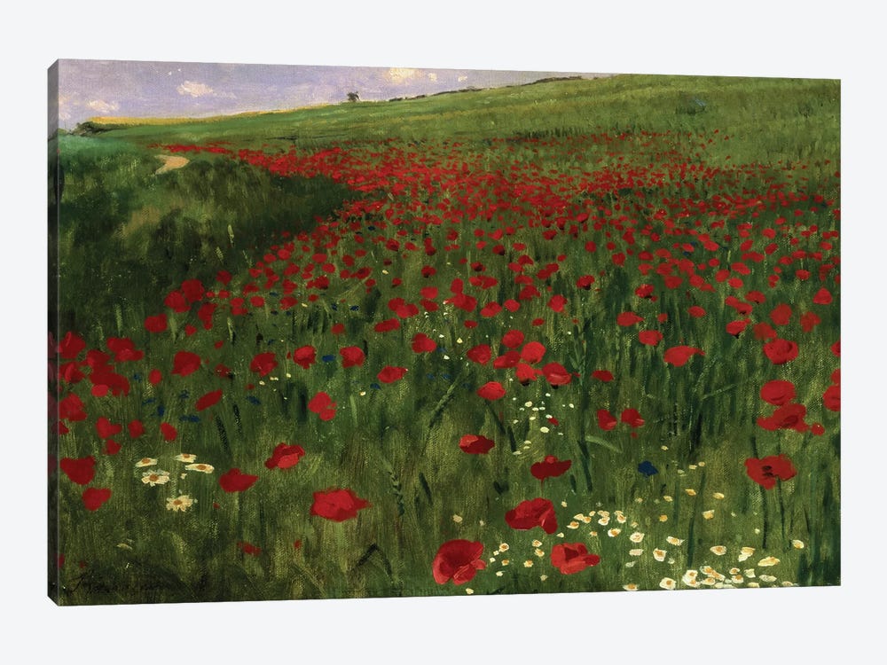 The Poppy Field, 1896  by Pal Szinyei Merse 1-piece Art Print