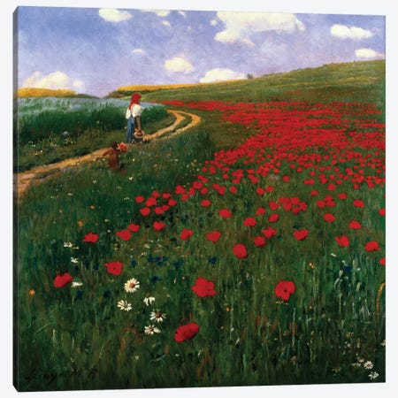 The Poppy Field Canvas Print #BMN888} by Pal Szinyei Merse Canvas Wall Art