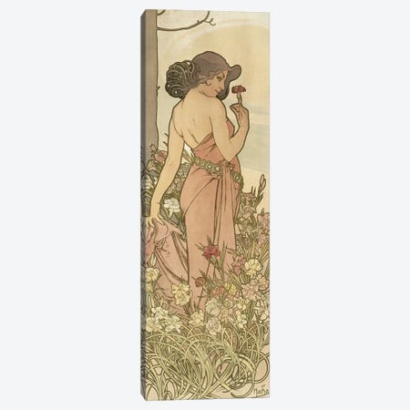 The Flowers: Carnation, 1898  Canvas Print #BMN8957} by Alphonse Mucha Canvas Art Print