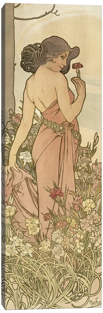 The Flowers: Carnation, 1898  Canvas Art Print
