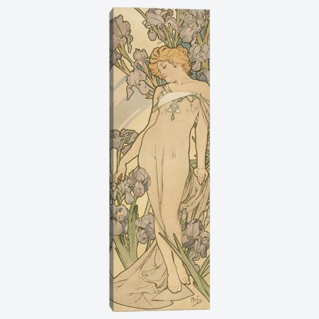 Water Lily 1898 By Alphonse Mucha AAM028 Art Print A4 A3 A2 A1 