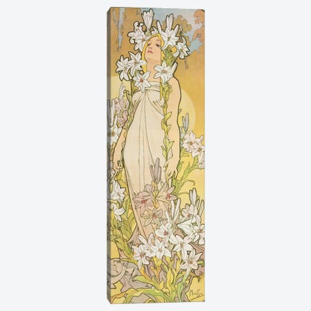 The Flowers: Lily, 1898  Canvas Print #BMN8959} by Alphonse Mucha Canvas Wall Art