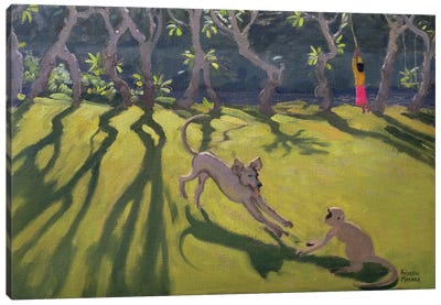 Dog and Monkey, Sri Lanka Canvas Art Print - Andrew Macara