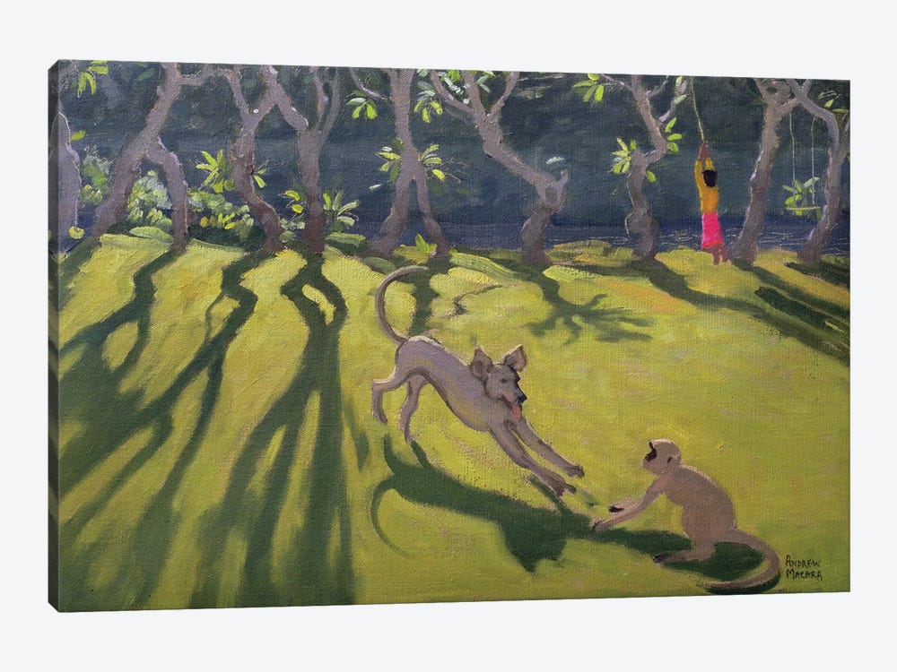 Dog and Monkey, Sri Lanka by Andrew Macara 1-piece Canvas Artwork