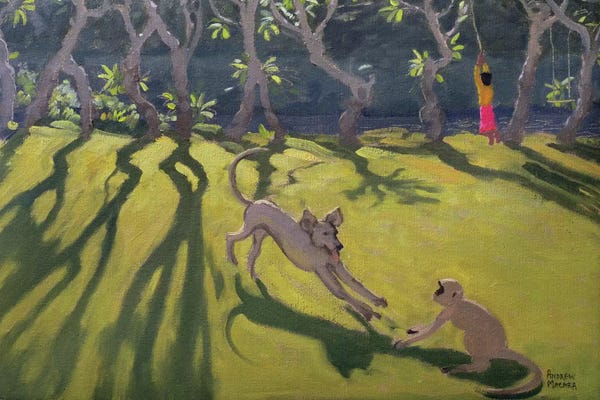 Sri Lanka: Dog and Monkey, Sri Lanka by Andrew Macara