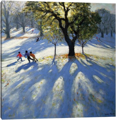 Markeaton Park, Early Snow Canvas Art Print - Andrew Macara