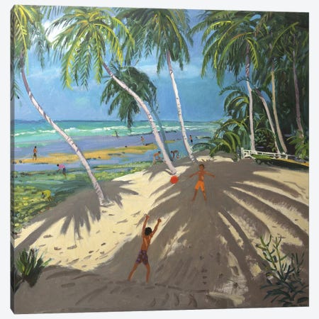 Palm Trees, Clovelly Beach, Barbados Canvas Print #BMN9050} by Andrew Macara Canvas Artwork