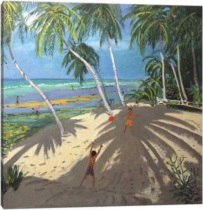 Palm Trees, Clovelly Beach, Barbados Canvas Art Print - Tropical Beach Art