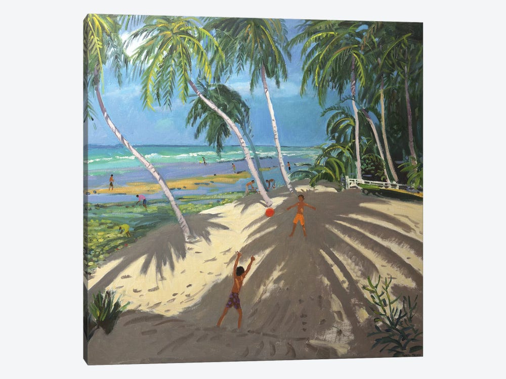 Palm Trees, Clovelly Beach, Barbados by Andrew Macara 1-piece Art Print