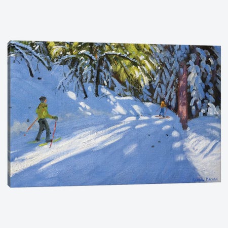 Skiing Through The Woods, La Clusaz Canvas Print #BMN9057} by Andrew Macara Canvas Art Print