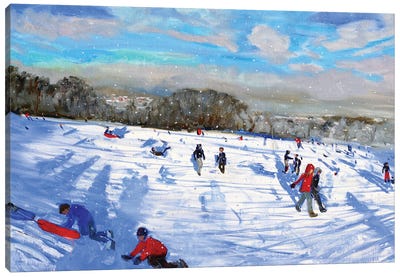 Snow Flurries, Allestree Park, Derby Canvas Art Print