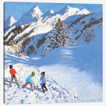 Snowballing, La Clusaz, France  Canvas Print #BMN9060} by Andrew Macara Canvas Print