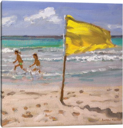 Yellow Flag, Barbado Canvas Art Print - Andrew Macara