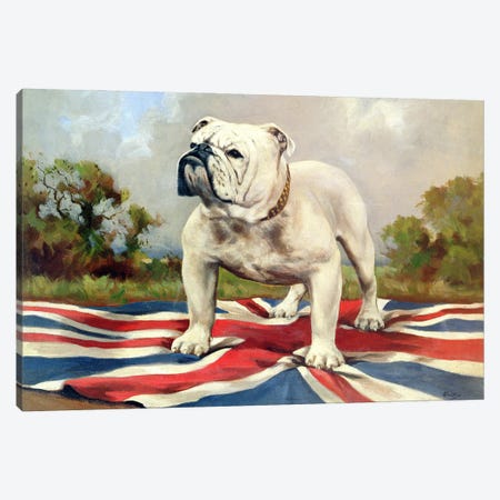 British Bulldog Canvas Print #BMN907} by English School Canvas Art