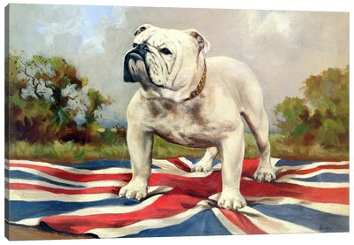 British Bulldog Canvas Art Print - English School