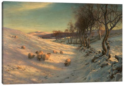 Through The Crisp Air, 1902 Canvas Art Print - Sheep Art