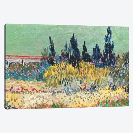 The Garden at Arles, detail of the cypress trees, 1888 Canvas Print #BMN9113} by Vincent van Gogh Canvas Art Print