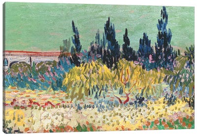 The Garden at Arles, detail of the cypress trees, 1888 Canvas Art Print - Vincent van Gogh