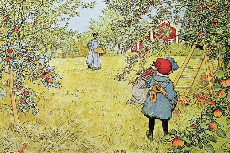 The Apple Harvest by Carl Larsson wall art