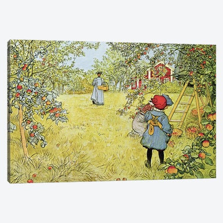 The Apple Harvest Canvas Print #BMN9171} by Carl Larsson Canvas Art Print
