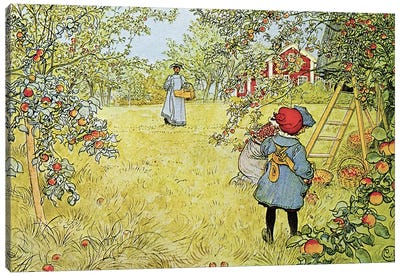 The Apple Harvest Canvas Art Print - Carl Larsson