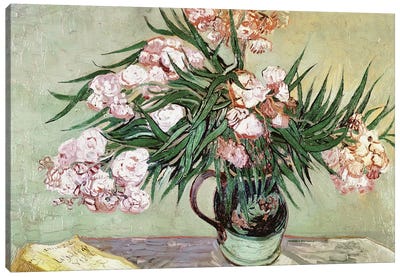 Oleanders and Books, 1888 Canvas Art Print - Post-Impressionism Art
