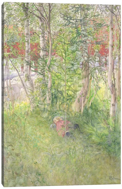 A Nap Outdoors Canvas Art Print - Carl Larsson