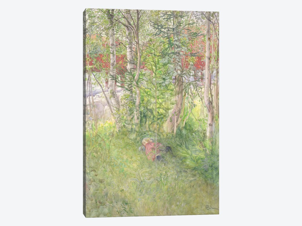 A Nap Outdoors by Carl Larsson 1-piece Art Print