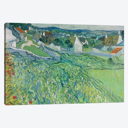 Vineyards at Auvers, June 1890 Canvas Print #BMN9184} by Vincent van Gogh Art Print
