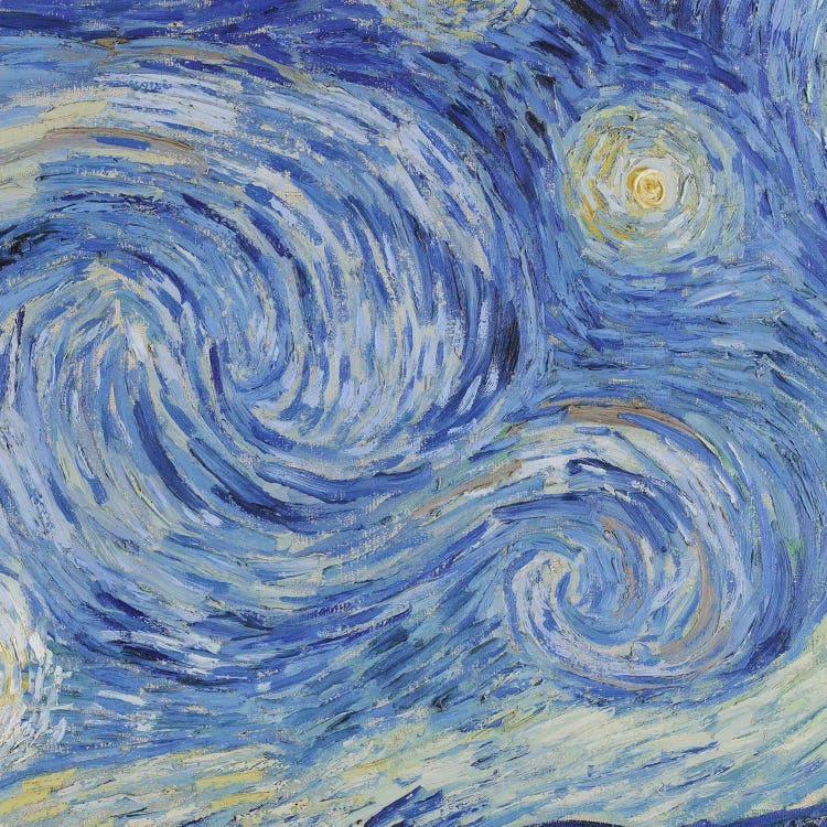 The Starry Night, June 1889 by Vincent van Gogh wall art