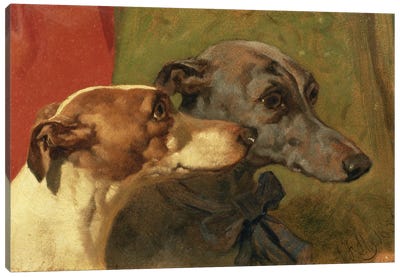 The Greyhounds 'Charley' and 'Jimmy' in an Interior Canvas Art Print