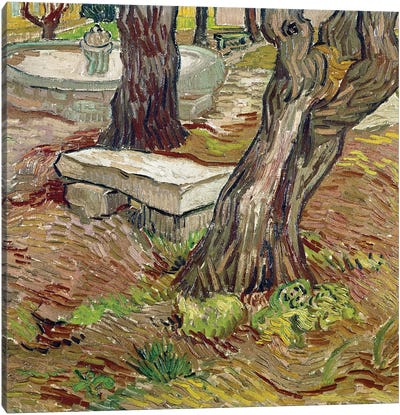The park of the Saint Paul asylum in Saint-Remy  or Bench de Pierre Canvas Art Print - Post-Impressionism Art
