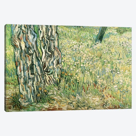 Tree trunks in grass, 1890, by Vincent van Gogh Canvas Print #BMN9358} by Vincent van Gogh Canvas Art Print