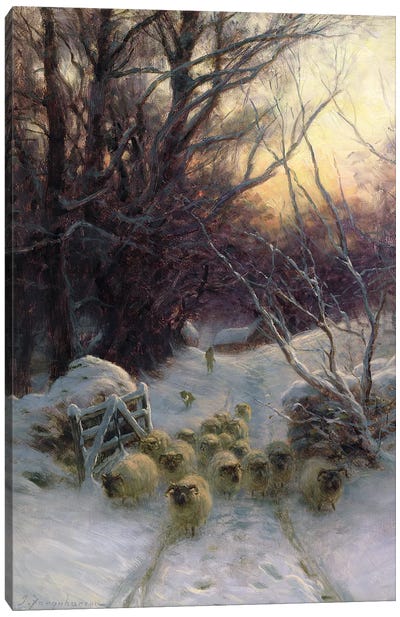 The Sun Had Closed For The Winter Day Canvas Art Print - Sheep Art