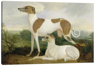 Two Greyhounds in a Landscape Canvas Art Print