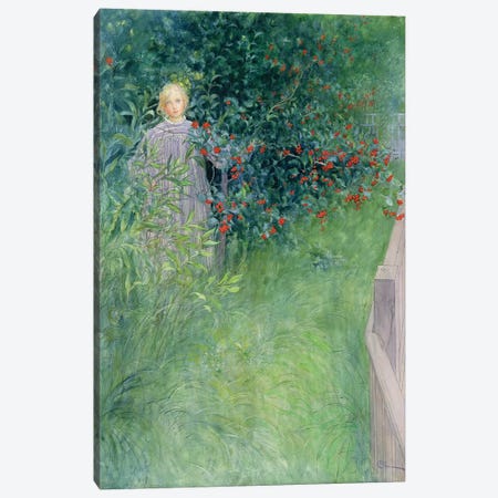 In the Hawthorn Hedge Canvas Print #BMN9400} by Carl Larsson Art Print